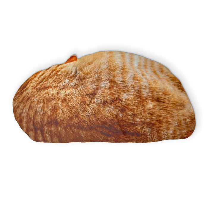 Jinkies-A SLEEPING CAT YOU CAN CLEAN YOUR GLASSES WITH