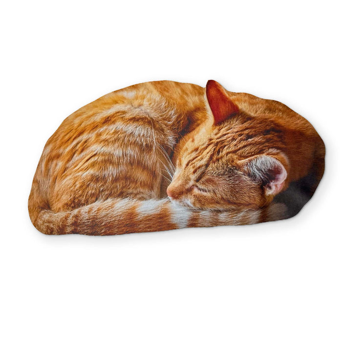 Jinkies-A SLEEPING CAT YOU CAN CLEAN YOUR GLASSES WITH
