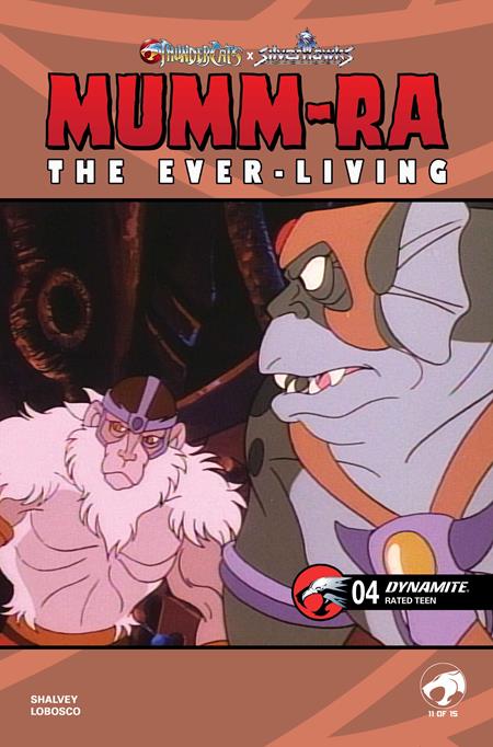 Mumm-Ra The Ever Living #4 Cvr E Animation Art Var
