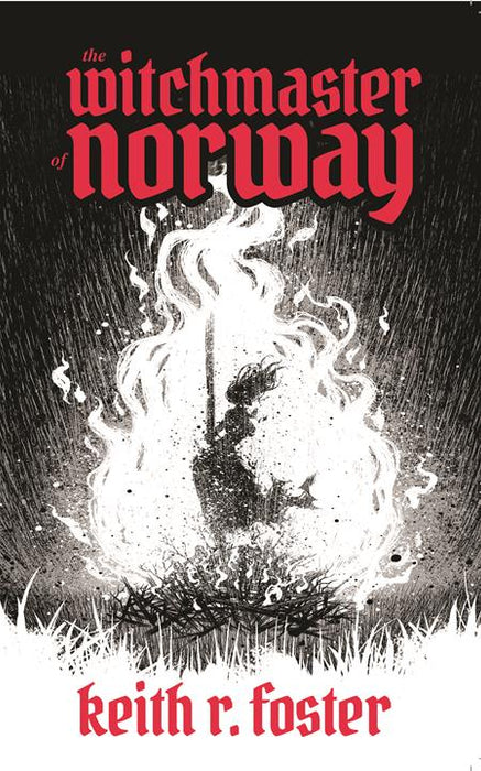 Witchmaster Of Norway Tp An Illustrated Novel