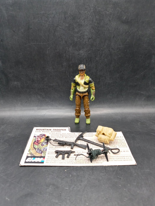 GI Joe ARAH Alpine (1985)