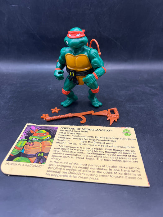 Teenage Mutant Ninja Turtles Michaelangelo