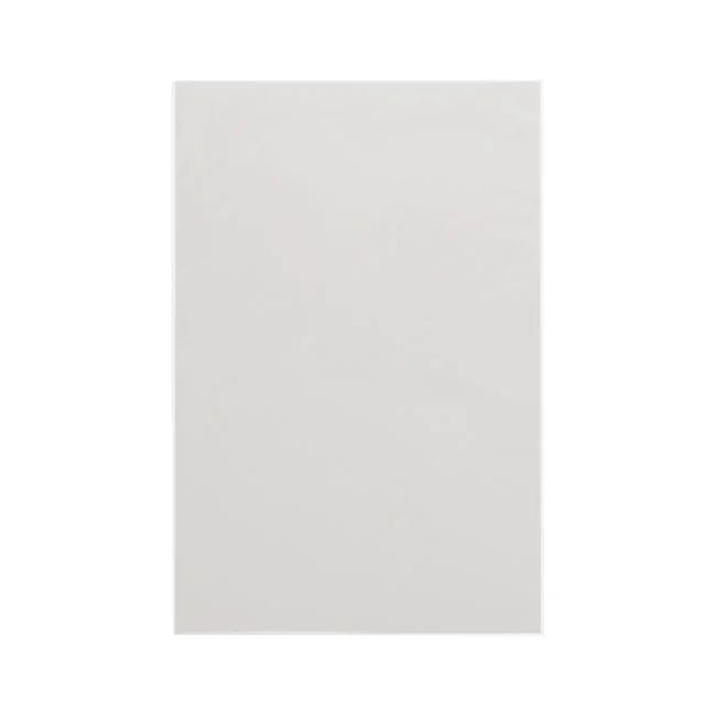 Premade Resealable Silver Comic Bag and Board (BCW) 50 pack