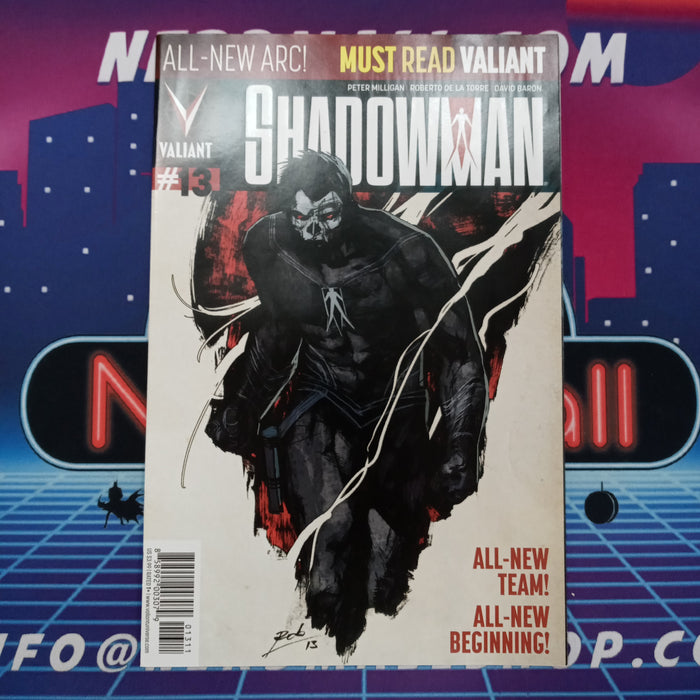 Shadowman #13