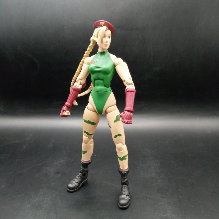 Sota Street Fighter Cammy