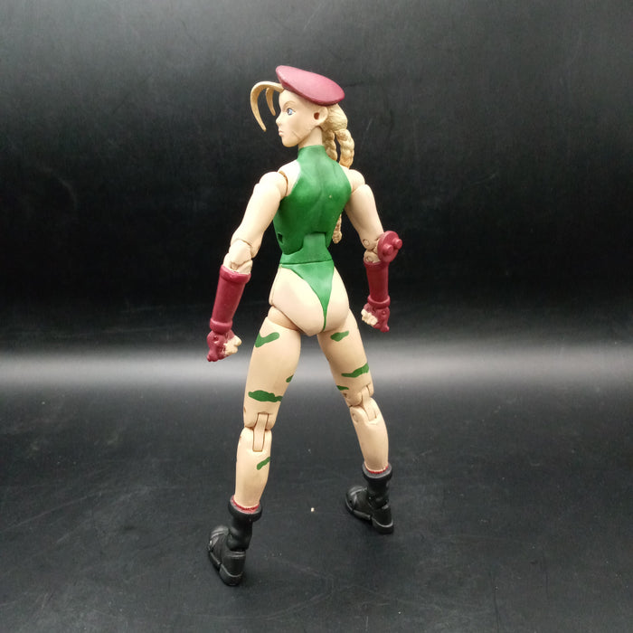 Sota Street Fighter Cammy