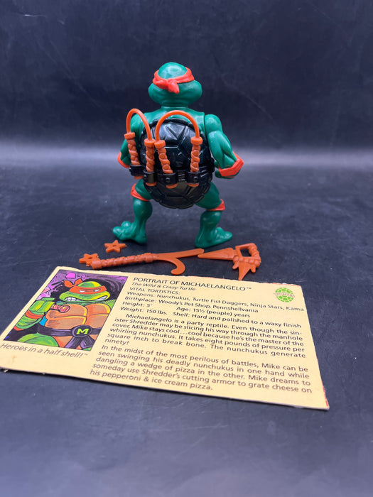 Teenage Mutant Ninja Turtles Michaelangelo