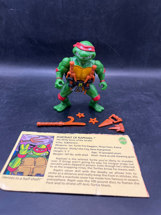 Teenage Mutant Ninja Turtles Raphael