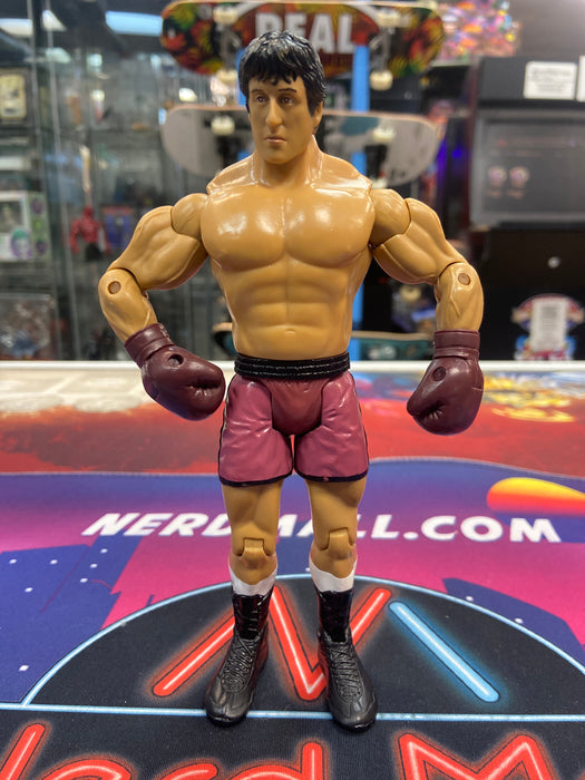 2006 Jakks Pacific Rocky vs Spider Rico Rocky