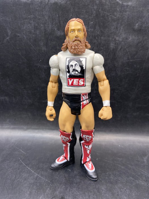 WWE 2014 Superstar Entrances Daniel Bryan (Walmart Excl.)