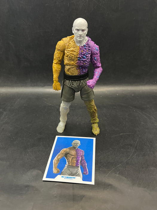 DC Multiverse Metamorpho