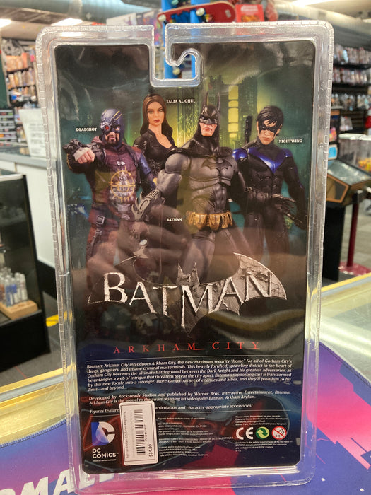 Batman Arkham City Series 4 Nightwing