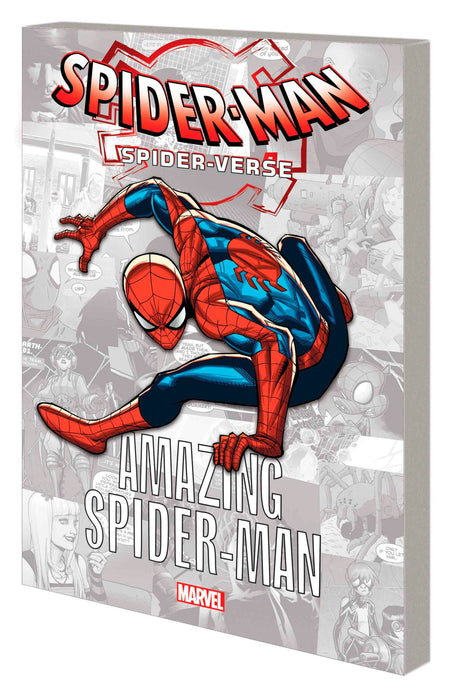 Spider-Man: Spider-Verse - Amazing Spider-Man Gn-Tpb