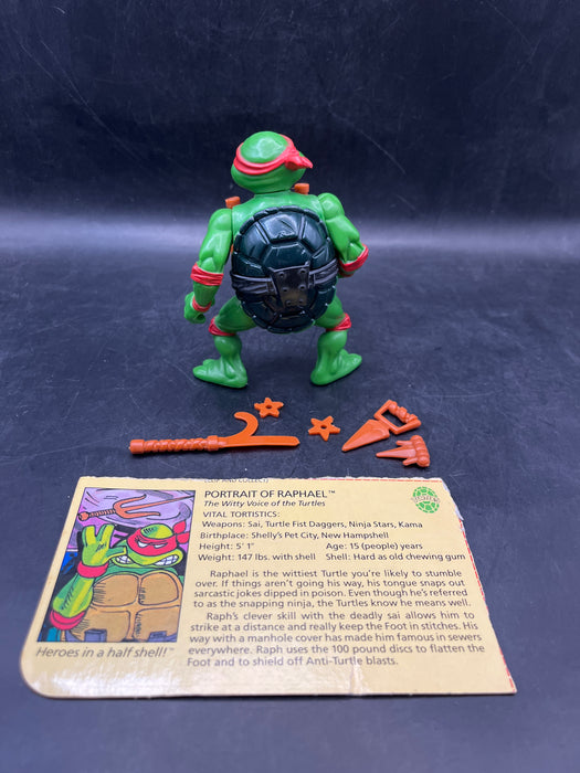 Teenage Mutant Ninja Turtles Raphael