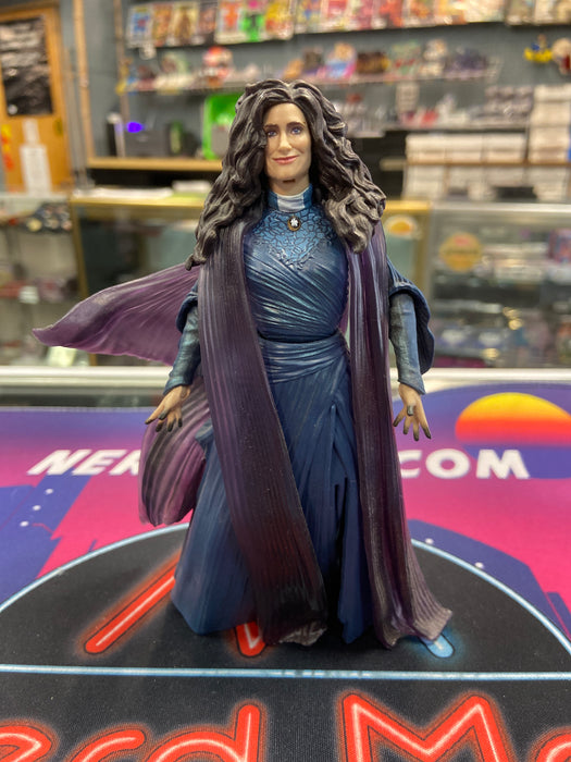 Marvel Legends Agatha Harkness