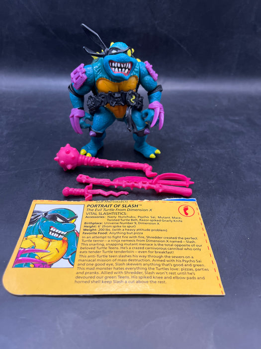 Teenage Mutant Ninja Turtles Slash (Black belt var.)