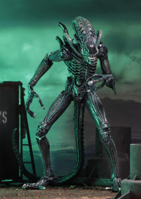 Ultimate Aliens Warrior 1986 (Blue) - Aliens 7" Scale Action Figure