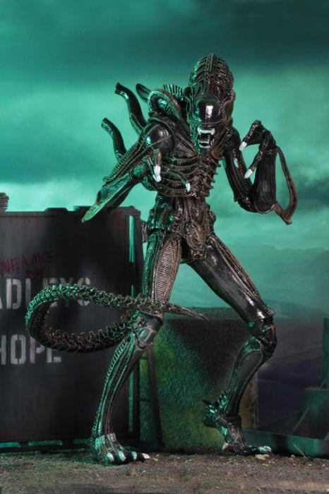 Ultimate Aliens Warrior 1986 (Brown) - Aliens 7" Scale Action Figure