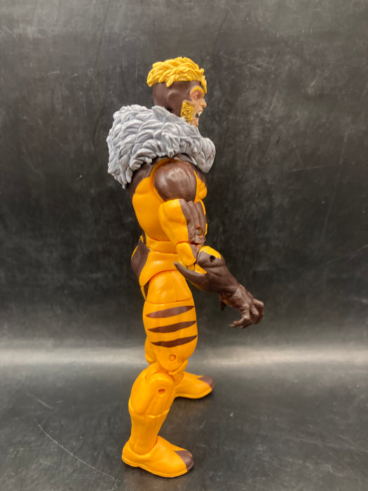 Marvel Legends Sabretooth (Apocalypse BAF)