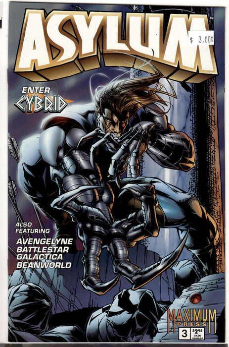 Asylum #3