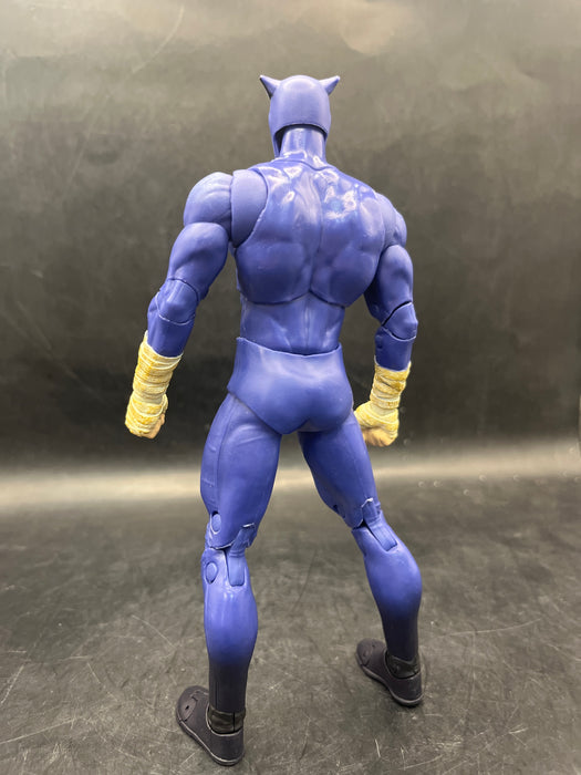 McFarlane DC Multiverse Wildcat