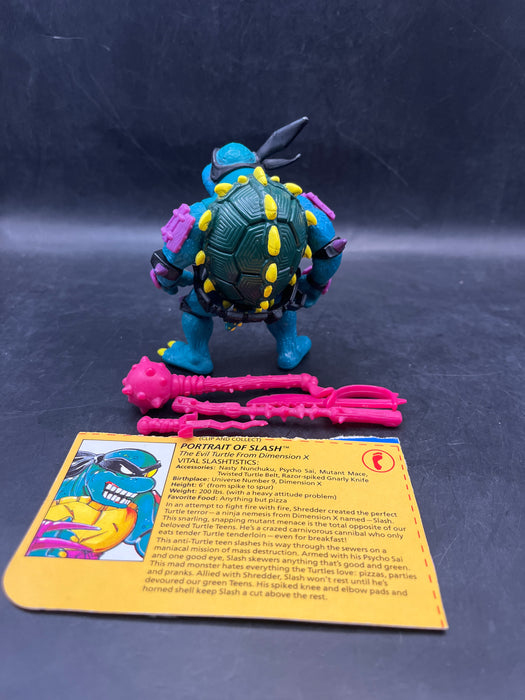 Teenage Mutant Ninja Turtles Slash (Black belt var.)
