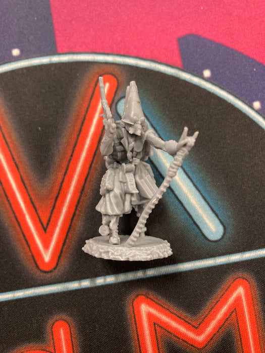 D&D Mini Pegleg Arcanist