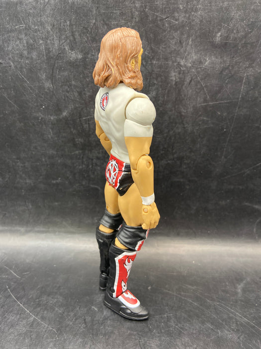 WWE 2014 Superstar Entrances Daniel Bryan (Walmart Excl.)