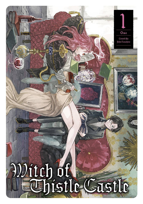 Witch Of Thistle Castle Gn Vol 01
