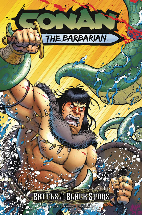 Conan Barbarian Battle Blackstone #1 (Of 4) Cvr E Fleecs