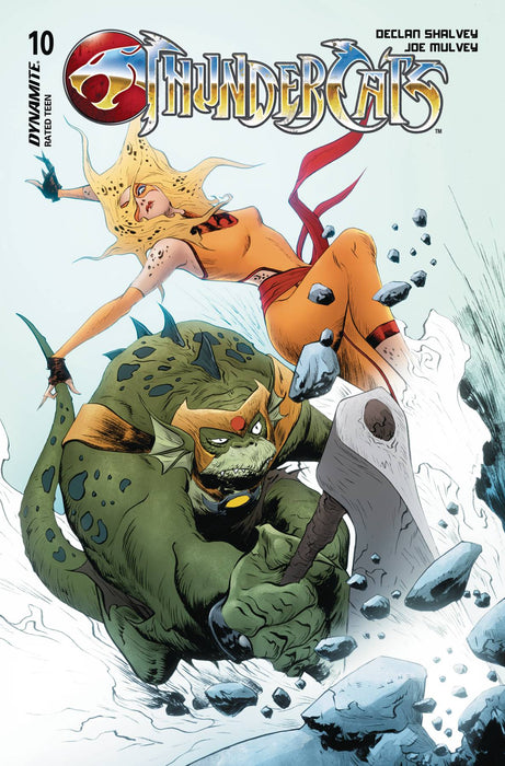 Thundercats #10 Cvr D Lee & Chung