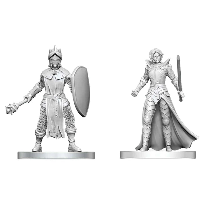 D&D: Nolzur's Marvelous Miniatures: Black Gauntlet & Zhentilar Paladin of Bane