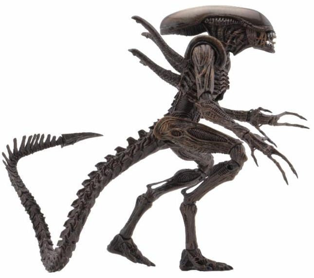 Resurrection Warrior - Aliens Series 14