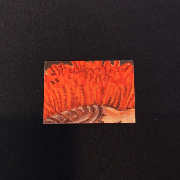 1986 Topps Garbage Pail Kids #88b Farrah Fossil