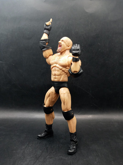 WWE Ultimate Edition Fan Takeover Goldberg