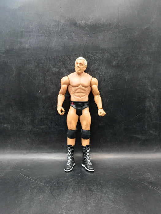 WWE Basic Summerslam Series 5 Ric Flair