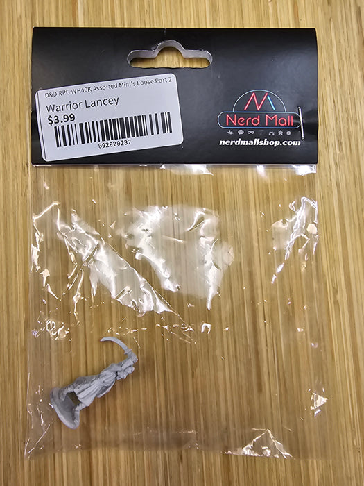 D&D Warrior Mini Lancey