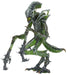 Mantis - Aliens Series 10 - 7" Scale Action Figure
