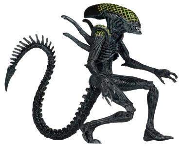 Alien VS Predator Grid Alien
