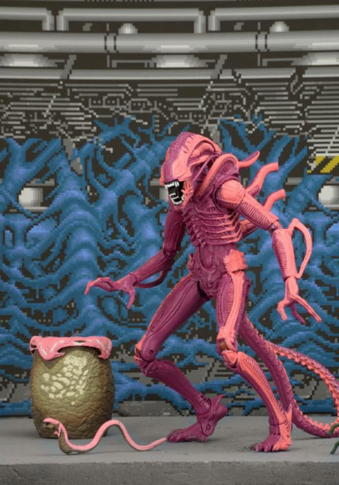 Aliens - Xenomorph Warrior (Arcade Appearance)