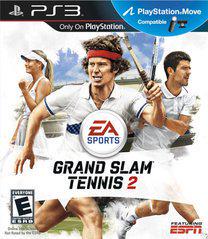 Grand Slam Tennis 2