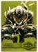 2022 SkyBox Marvel Metal Universe Spider-Man #169 Ronin SP