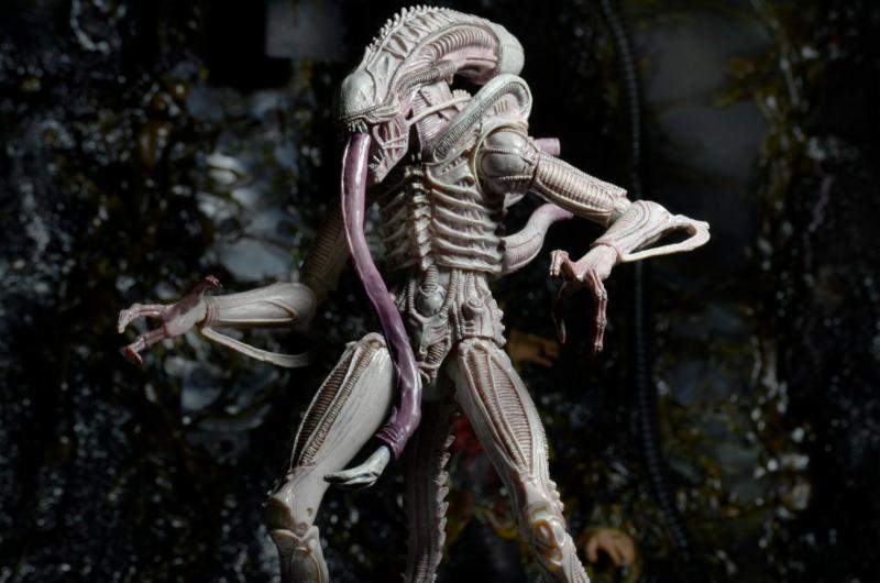 Albino Alien - Aliens Series 9