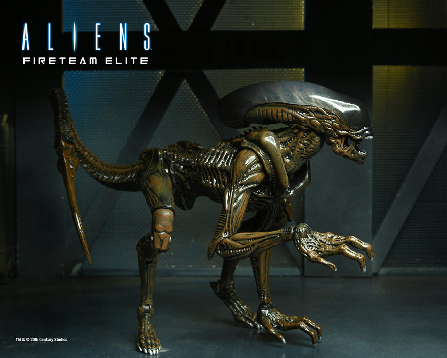 Aliens: Fireteam Elite - Runner Alien