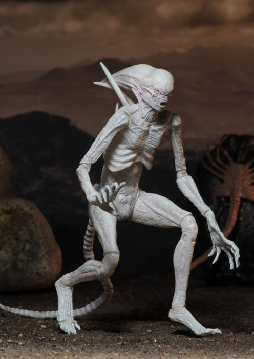 Alien: Covenant - 7" Scale Action Figure - Neomorph