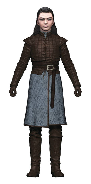 Arya Stark - Game of Thrones 6" Action Figure