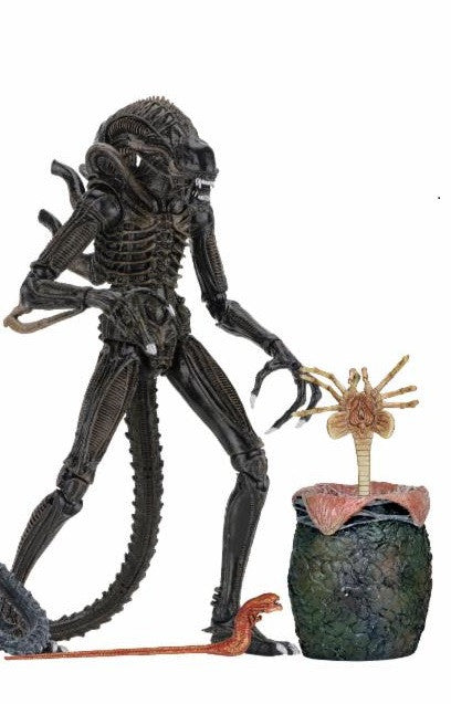 Ultimate Aliens Warrior 1986 (Brown) - Aliens 7" Scale Action Figure