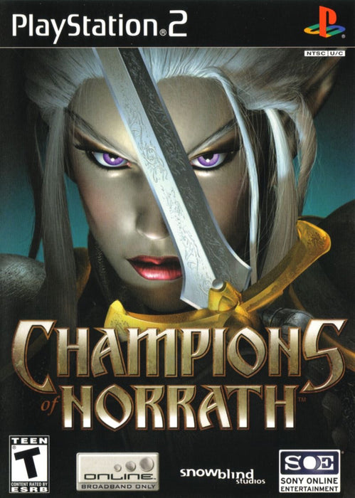 Champions of Norrath for Playstation 2